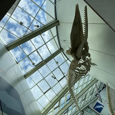 Altes Siedlerhaus Nesebanz * Gustow (Vorpommern-Rugen)