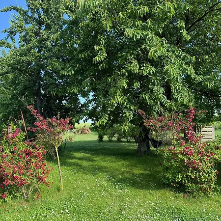 Appartement Altes Siedlerhaus Nesebanz *